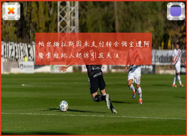 帕尔梅拉斯因未支付转会佣金遭阿隆索经纪人起诉引发关注