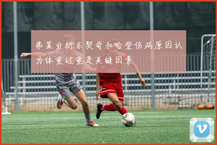 弗莱分析东契奇和哈登伤病原因认为体重过重是关键因素