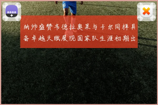 纳帅盛赞韦德拉奥果与卡尔同样具备卓越天赋展现国家队生涯初期出色表现
